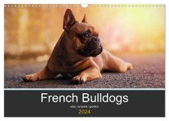 French Bulldog aktiv, verspielt, sportlich (Wandkalender 2024 DIN A3 quer), CALVENDO Monatskalender - Block, Janina