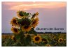 Blumen der Sonne (Wandkalender 2024 DIN... - Bild 1