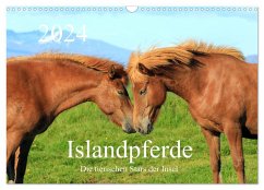 Islandpferde - Die tierischen Stars der Insel (Wandkalender 2024 DIN A3 quer), CALVENDO Monatskalender - Großkopf, Rainer