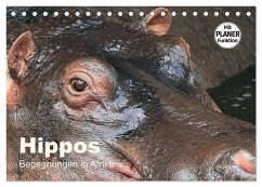 Hippos - Begegnungen in Afrika (Tischkalender 2024 DIN A5 quer), CALVENDO Monatskalender - Herzog, Michael