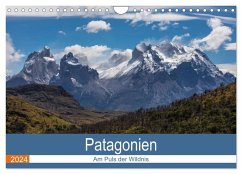 Patagonien - Am Puls der Wildnis (Wandkalender 2024 DIN A4 quer), CALVENDO Monatskalender