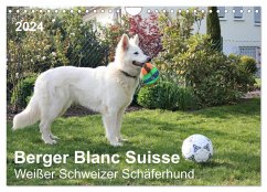 Berger Blanc Suisse - Weißer Schweizer Schäferhund (Wandkalender 2024 DIN A4 quer), CALVENDO Monatskalender - Brunhilde Kesting, Margarete