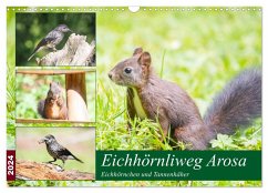 Eichhörnliweg Arosa - Eichhörnchen und Tannenhäher (Wandkalender 2024 DIN A3 quer), CALVENDO Monatskalender - und Philipp Kellmann, Stefanie