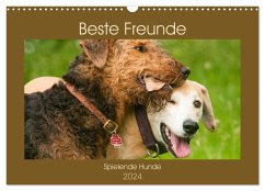 Beste Freunde - Spielende Hunde (Wandkalender 2024 DIN A3 quer), CALVENDO Monatskalender