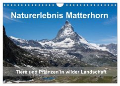 Naturerlebnis Matterhorn (Wandkalender 2024 DIN A4 quer), CALVENDO Monatskalender - Pelzer (Pelzer-Photography), Claudia