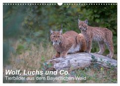 Wolf, Luchs und Co. - Tierbilder aus dem Bayerischen Wald (Wandkalender 2024 DIN A3 quer), CALVENDO Monatskalender