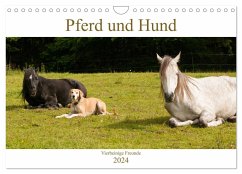 Pferd und Hund - Vierbeinige Freunde (Wandkalender 2024 DIN A4 quer), CALVENDO Monatskalender