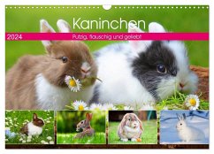 Kaninchen. Putzig, flauschig und geliebt (Wandkalender 2024 DIN A3 quer), CALVENDO Monatskalender - Hurley, Rose