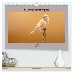 Kanarienvögel - Bunte Welt (hochwertiger Premium Wandkalender 2024 DIN A2 quer), Kunstdruck in Hochglanz - Akrema-Photography