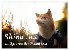 Shiba Inu - mutig, treu, selbstbewusst (Wandkalender 2024 DIN A2 quer), CALVENDO Monatskalender