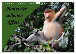 Planet der seltenen Affen (Wandkalender 2024 DIN A4 quer), CALVENDO Monatskalender - Edel, Anja