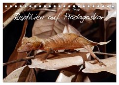 Reptilien auf Madagaskar (Tischkalender 2024 DIN A5 quer), CALVENDO Monatskalender