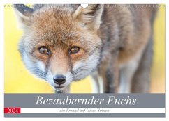 Bezaubernder Fuchs - ein Freund auf leisen Sohlen (Wandkalender 2024 DIN A3 quer), CALVENDO Monatskalender