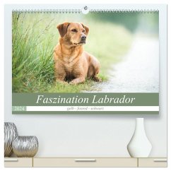 Faszination Labrador - gelb, foxred, schwarz (hochwertiger Premium Wandkalender 2024 DIN A2 quer), Kunstdruck in Hochglanz - Strunz, Cornelia