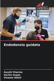 Endodonzia guidata