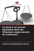 Le droit à un procès équitable dans les tribunaux anglo-saxons du Cameroun