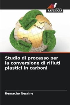 Studio di processo per la conversione di rifiuti plastici in carboni - Nesrine, Remache