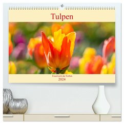 Tulpen - Feuerwerk der Farben (hochwertiger Premium Wandkalender 2024 DIN A2 quer), Kunstdruck in Hochglanz
