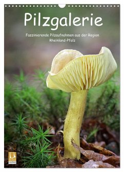 Pilzgalerie - Faszinierende Pilzaufnahmen aus der Region Rheinland-Pfalz (Wandkalender 2024 DIN A3 hoch), CALVENDO Monatskalender - Wurster, Beate
