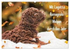 Mit Lagotto Romagnolo Welpen durch das Jahr (Wandkalender 2024 DIN A2 quer), CALVENDO Monatskalender