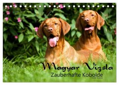 Magyar Vizsla - Zauberhafte Kobolde (Tischkalender 2024 DIN A5 quer), CALVENDO Monatskalender - Grüttner, Kerstin