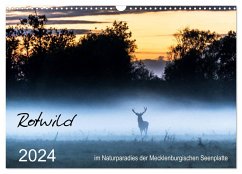 Rotwild - im Naturparadies der Mecklenburgischen Seenplatte (Wandkalender 2024 DIN A3 quer), CALVENDO Monatskalender