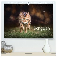 Bengalen Outdoor und Action (hochwertiger Premium Wandkalender 2024 DIN A2 quer), Kunstdruck in Hochglanz
