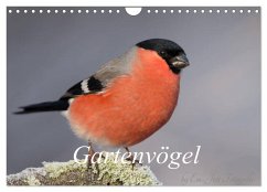 Vögel aus dem Garten (Wandkalender 2024 DIN A4 quer), CALVENDO Monatskalender