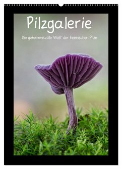 Pilzgalerie - Die geheimnisvolle Welt der heimischen Pilze (Wandkalender 2024 DIN A2 hoch), CALVENDO Monatskalender