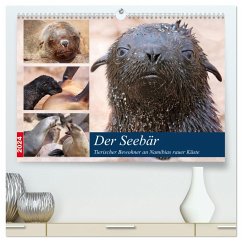 Der Seebär 2024 (hochwertiger Premium Wandkalender 2024 DIN A2 quer), Kunstdruck in Hochglanz