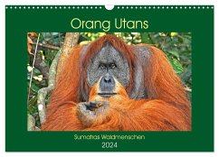 Orang Utans Sumatras Waldmenschen (Wandkalender 2024 DIN A3 quer), CALVENDO Monatskalender