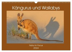 Kängururs und Wallabys (Wandkalender 2024 DIN A3 quer), CALVENDO Monatskalender