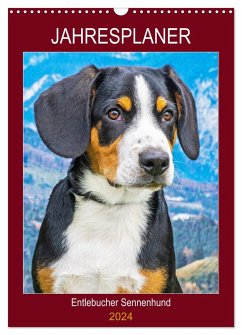 Jahresplaner Entlebucher Sennenhund (Wandkalender 2024 DIN A3 hoch), CALVENDO Monatskalender