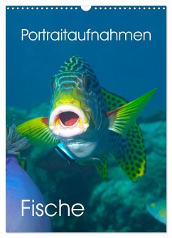 Portraitaufnahmen - Fische (Wandkalender 2024 DIN A3 hoch), CALVENDO Monatskalender