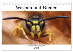 Faszination Makrofotografie: Wespen und Bienen (Tischkalender 2024 DIN A5 quer), CALVENDO Monatskalender