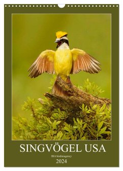 Singvögel USA (Wandkalender 2024 DIN A3 hoch), CALVENDO Monatskalender