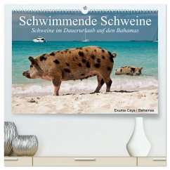 Schwimmende Schweine (hochwertiger Premium Wandkalender 2024 DIN A2 quer), Kunstdruck in Hochglanz