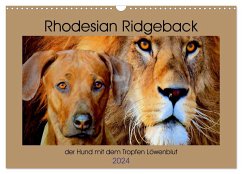 Rhodesian Ridgeback der Hund mit dem Tropfen Löwenblut (Wandkalender 2024 DIN A3 quer), CALVENDO Monatskalender - Behrens, Dagmar