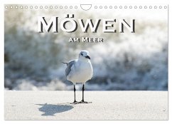 Möwen am Meer (Wandkalender 2024 DIN A4 quer), CALVENDO Monatskalender - Styppa, Robert