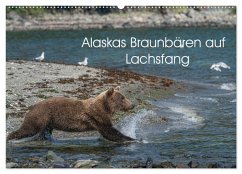 Grizzlybären im Katmai Nationalpark Alaska (Wandkalender 2024 DIN A2 quer), CALVENDO Monatskalender - Photo4emotion.com