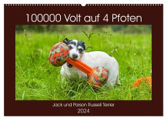 100000 Volt auf vier Pfoten - Jack und Parson Russell Terrier (Wandkalender 2024 DIN A2 quer), CALVENDO Monatskalender - Starick, Sigrid