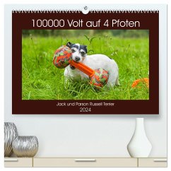 100000 Volt auf vier Pfoten - Jack und Parson Russell Terrier (hochwertiger Premium Wandkalender 2024 DIN A2 quer), Kunstdruck in Hochglanz