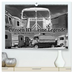 Citroën HY eine Legende in Schwarzweiß (hochwertiger Premium Wandkalender 2024 DIN A2 quer), Kunstdruck in Hochglanz
