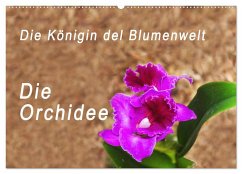 Die Königin der Blumenwelt, die Orchidee (Wandkalender 2024 DIN A2 quer), CALVENDO Monatskalender