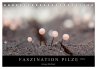 FASZINATION PILZE 2024 (Tischkalender... - Bild 1