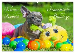 Kleiner Kobold Französische Bulldogge (Wandkalender 2024 DIN A2 quer), CALVENDO Monatskalender - Starick, Sigrid