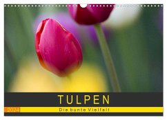 Tulpen - die bunte Vielfalt (Wandkalender 2024 DIN A3 quer), CALVENDO Monatskalender