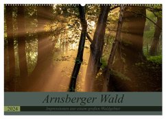 Arnsberger Wald (Wandkalender 2024 DIN A2 quer), CALVENDO Monatskalender