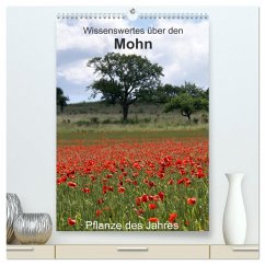 Wissenswertes über den Mohn - Pflanze des Jahres (hochwertiger Premium Wandkalender 2024 DIN A2 hoch), Kunstdruck in Hochglanz - Schmitt, Georg
