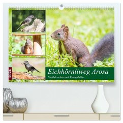Eichhörnliweg Arosa - Eichhörnchen und Tannenhäher (hochwertiger Premium Wandkalender 2024 DIN A2 quer), Kunstdruck in Hochglanz